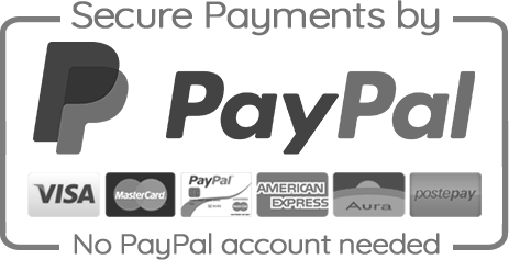 Secure Paypal Payment icon